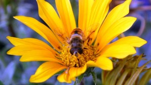 Hayatın akışında fark edemediklerimiz…