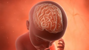 İnsan vücudunun en gizemli organı: Beyin!